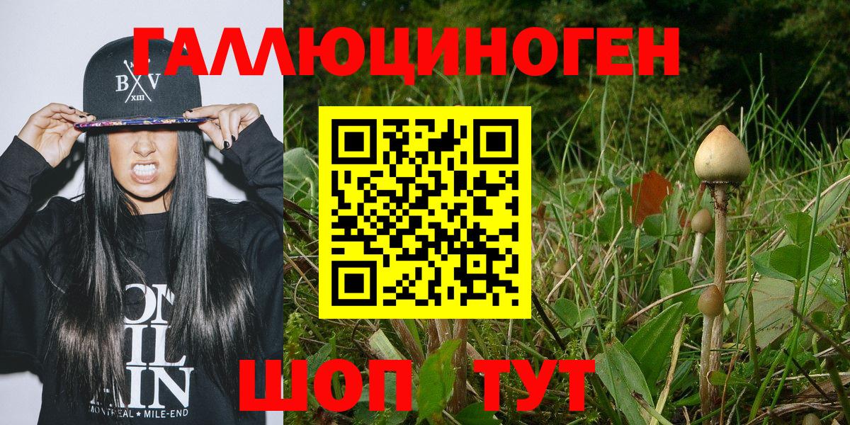 Псилоцибиновые грибы MAGIC MUSHROOMS  Вход с VPN  Фролово 