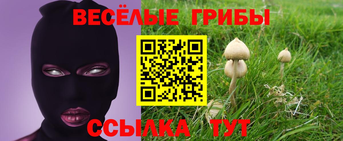 Псилоцибиновые грибы GOLDEN TEACHER Фролово